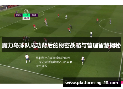 魔力鸟球队成功背后的秘密战略与管理智慧揭秘 魔力鸟球队成功背后的秘密战略与管理智慧揭秘