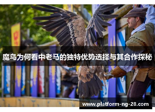 魔鸟为何看中老马的独特优势选择与其合作探秘 魔鸟为何看中老马的独特优势选择与其合作探秘