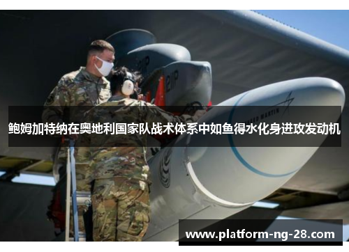 鲍姆加特纳在奥地利国家队战术体系中如鱼得水化身进攻发动机 鲍姆加特纳在奥地利国家队战术体系中如鱼得水化身进攻发动机