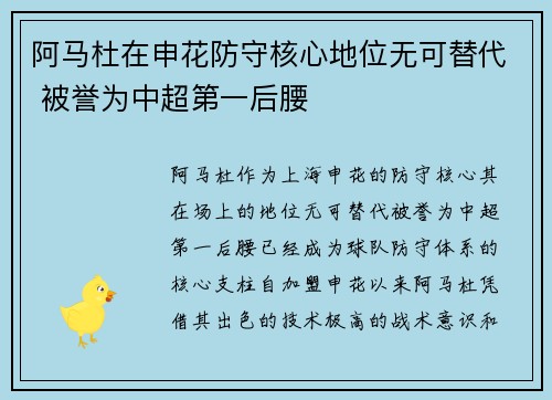 阿马杜在申花防守核心地位无可替代 被誉为中超第一后腰